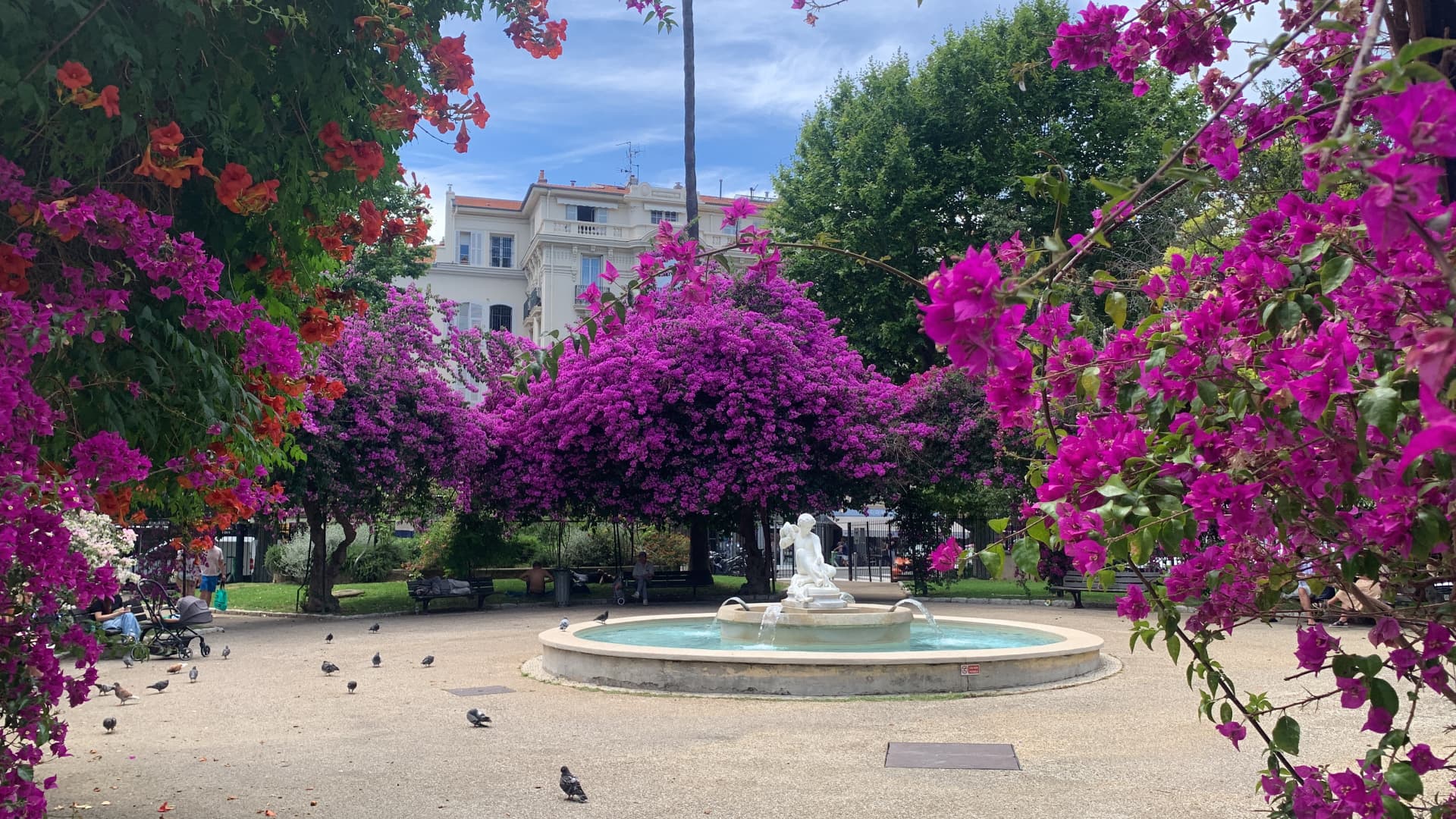 Fontaine encadrée de bougainvilliers dans le square Alziari de Malaussena, le jardin voisin de l'appartement