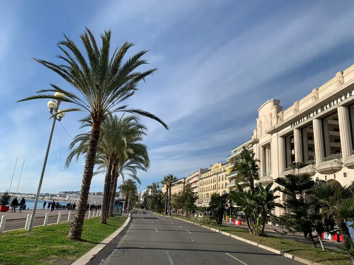 Palm trees along the Promenade des Anglais beside the Mediterranean